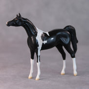 Rocco OOAK Black Pinto Arabian Chip By Jamie Adamson HS24