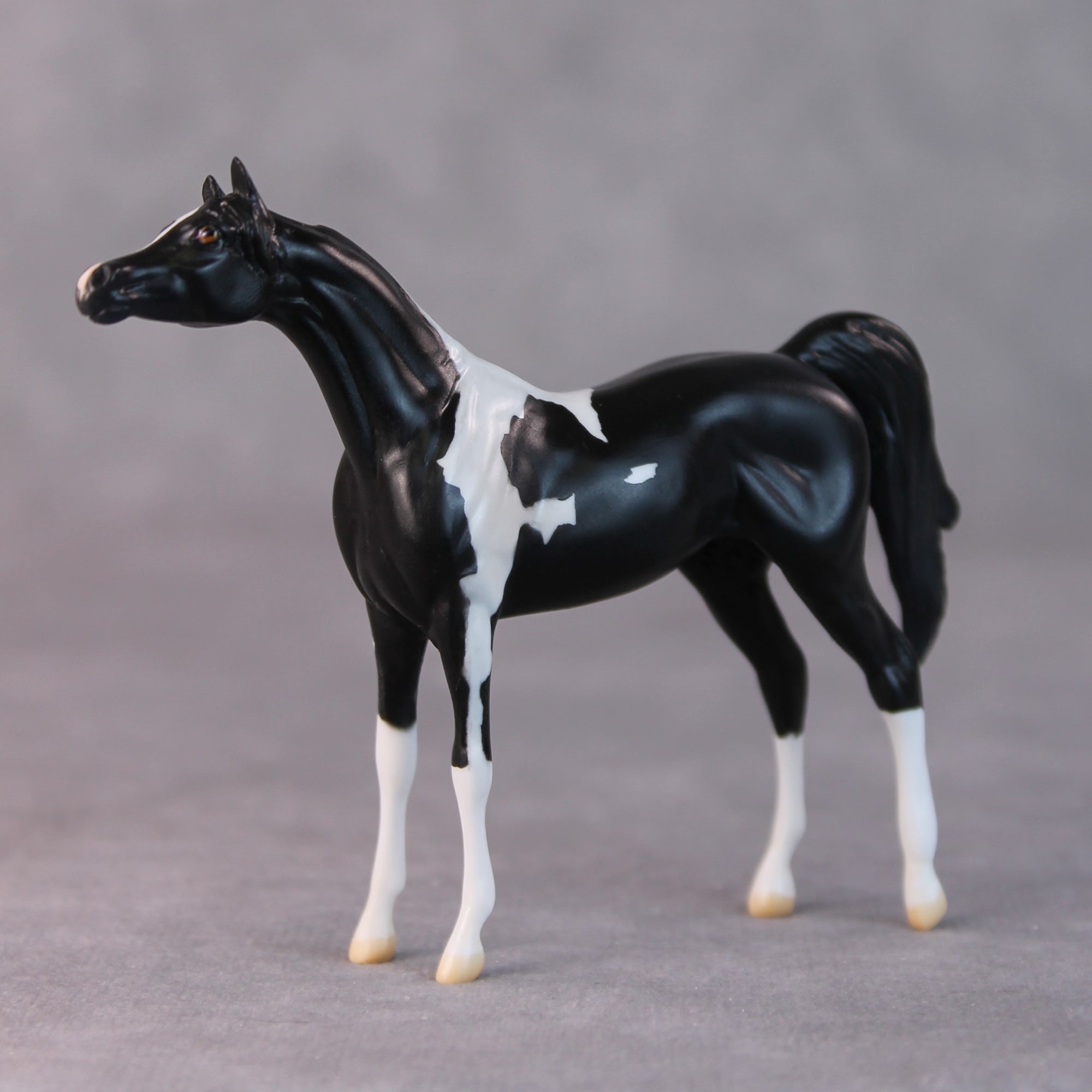 Rocco OOAK Black Pinto Arabian Chip By Jamie Adamson HS24