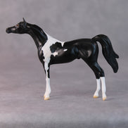 Rocco OOAK Black Pinto Arabian Chip By Jamie Adamson HS24