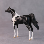 Rocco OOAK Black Pinto Arabian Chip By Jamie Adamson HS24