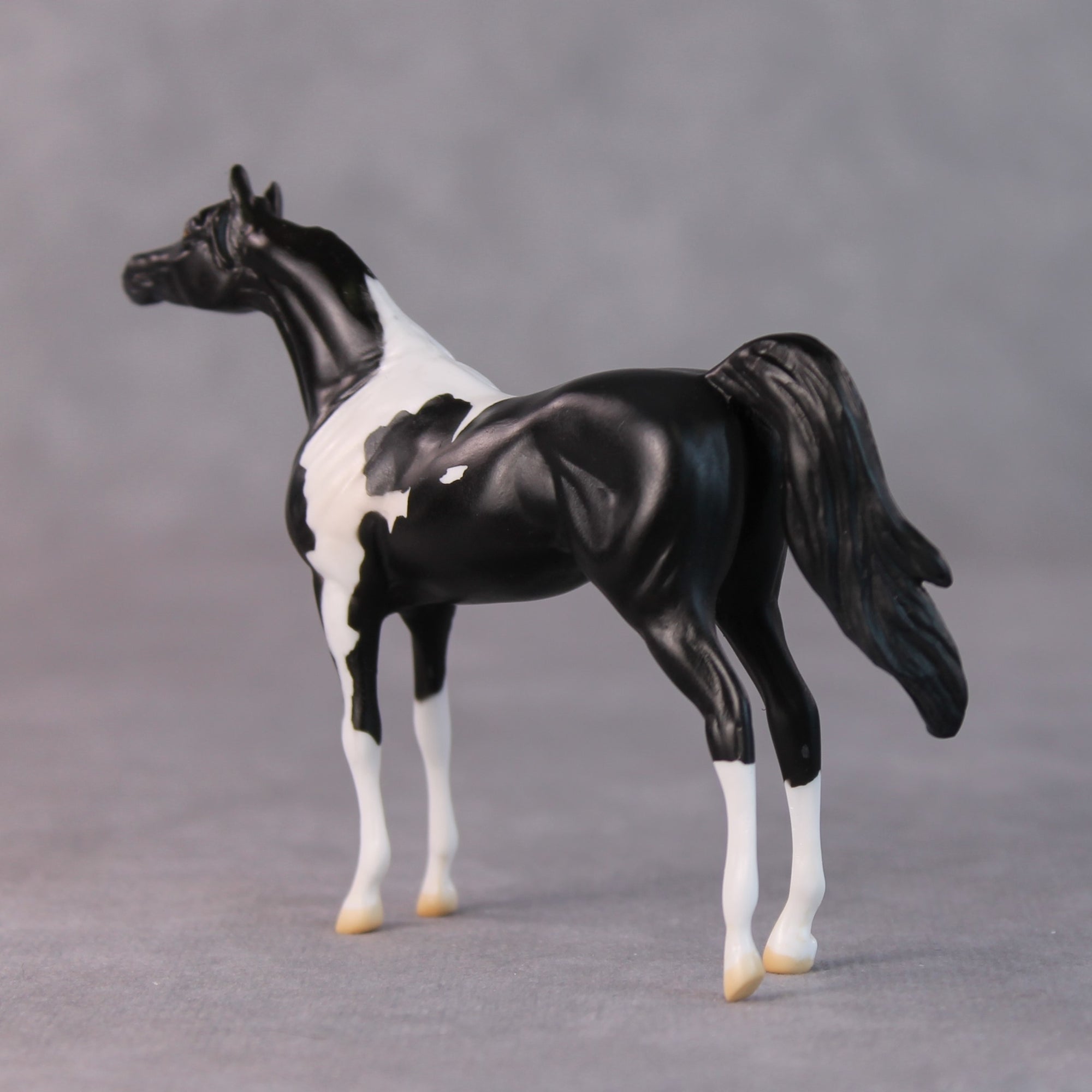 Rocco OOAK Black Pinto Arabian Chip By Jamie Adamson HS24