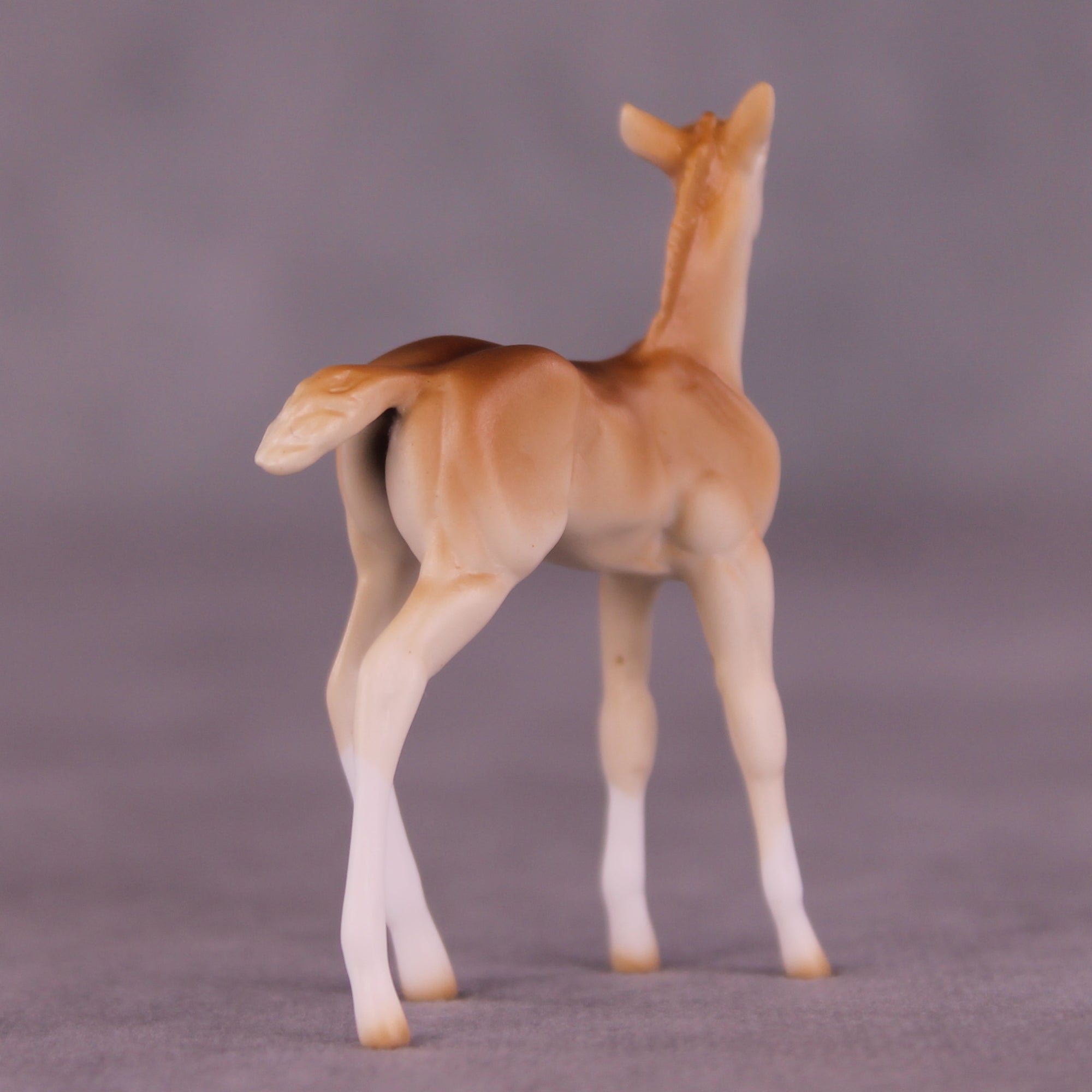 Lucky Penny OOAK Chip Foal by Ellen Robbins LHS25