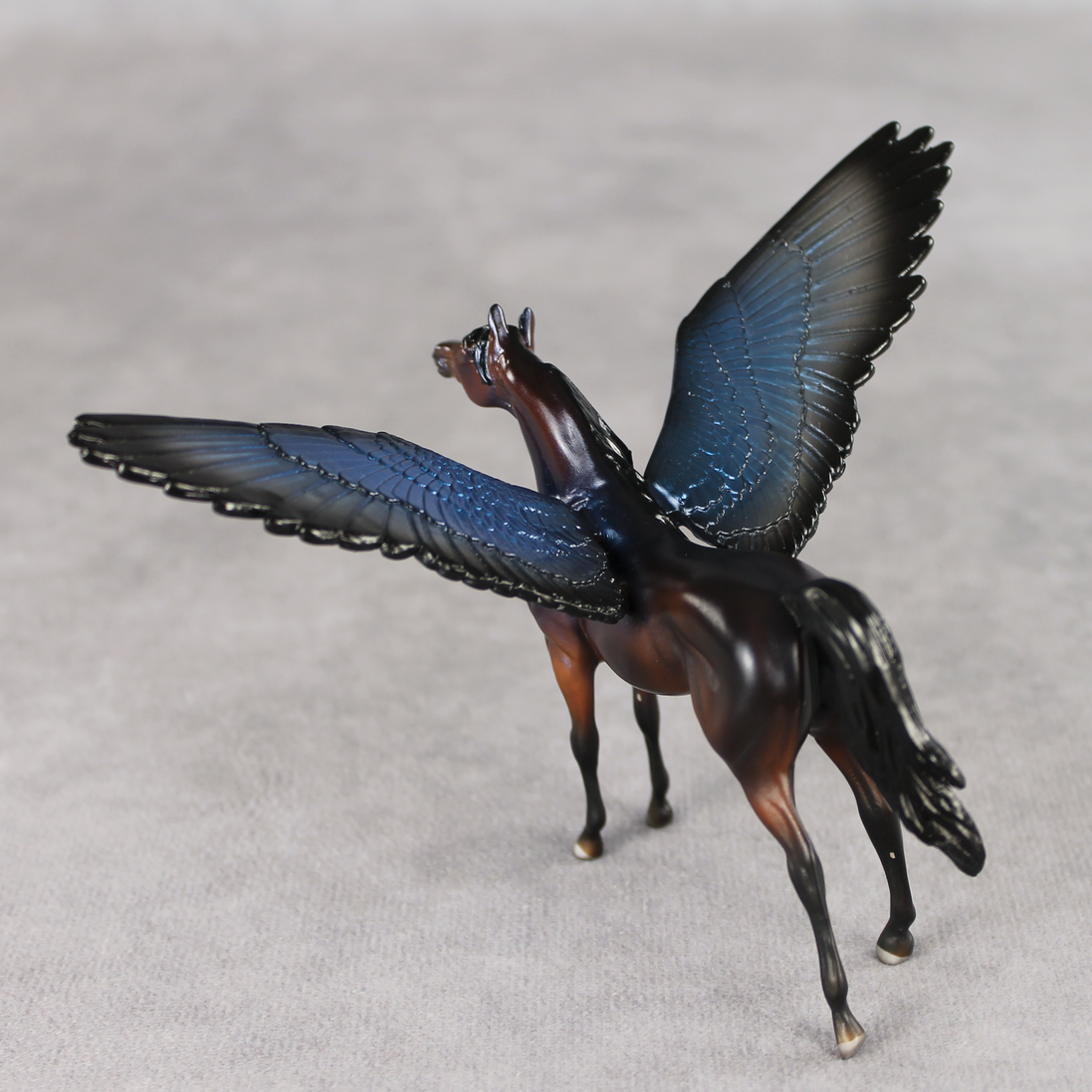 Blue Morpho FCM LE-2 FCM Chip Arabian by Angela Marleau FTF26