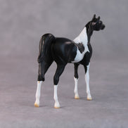 Rocco OOAK Black Pinto Arabian Chip By Jamie Adamson HS24