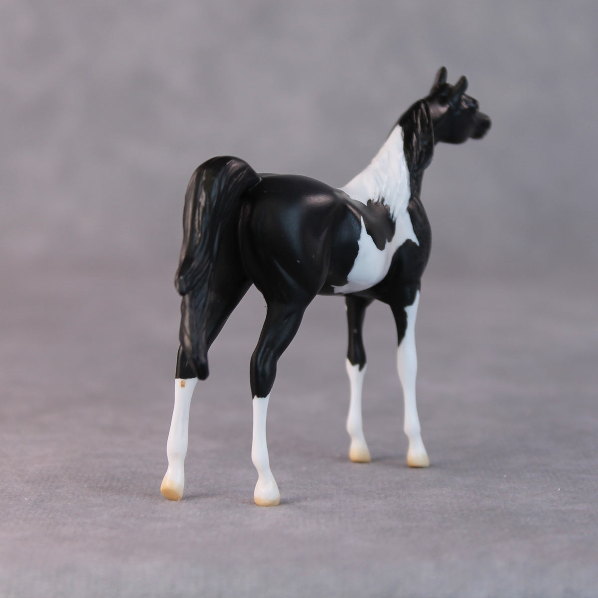 Rocco OOAK Black Pinto Arabian Chip By Jamie Adamson HS24