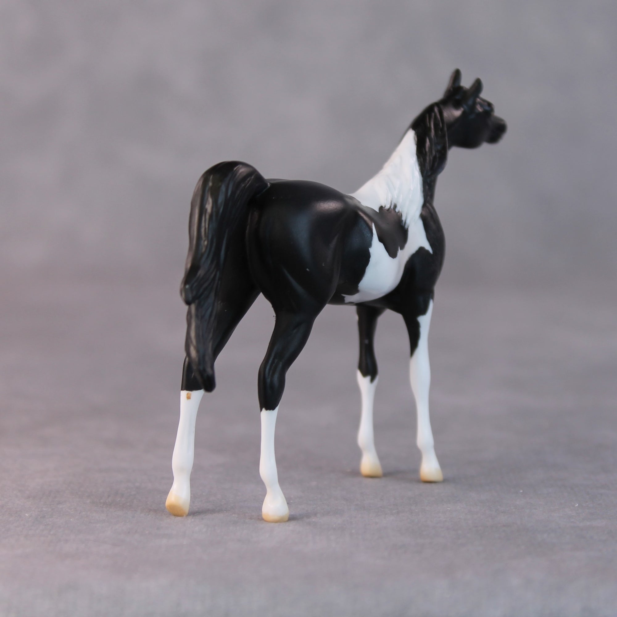 Rocco OOAK Black Pinto Arabian Chip By Jamie Adamson HS24