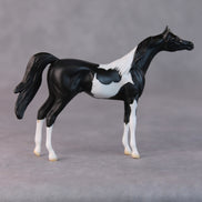 Rocco OOAK Black Pinto Arabian Chip By Jamie Adamson HS24