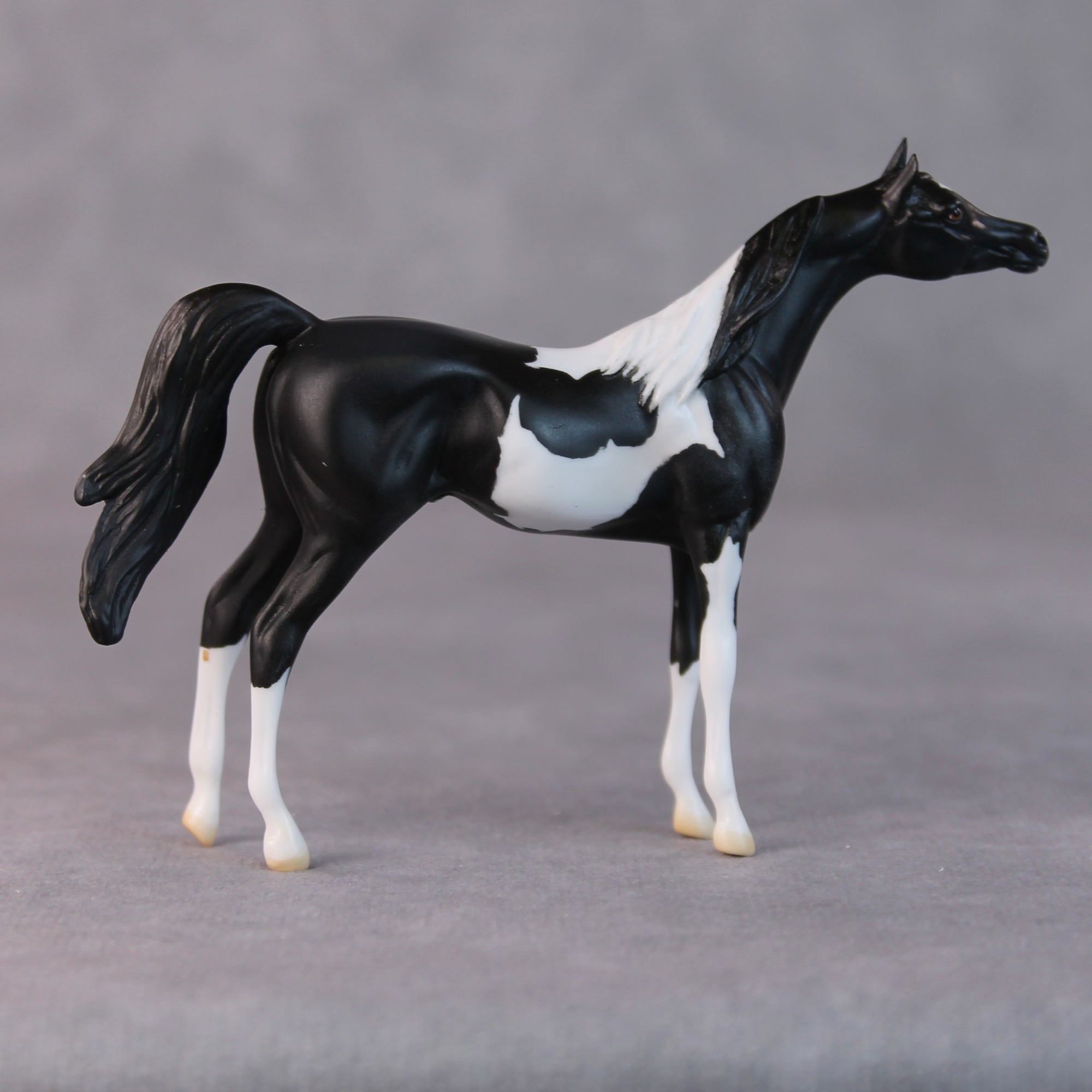 Rocco OOAK Black Pinto Arabian Chip By Jamie Adamson HS24