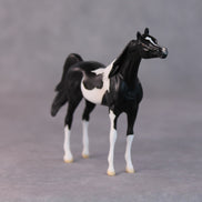 Rocco OOAK Black Pinto Arabian Chip By Jamie Adamson HS24