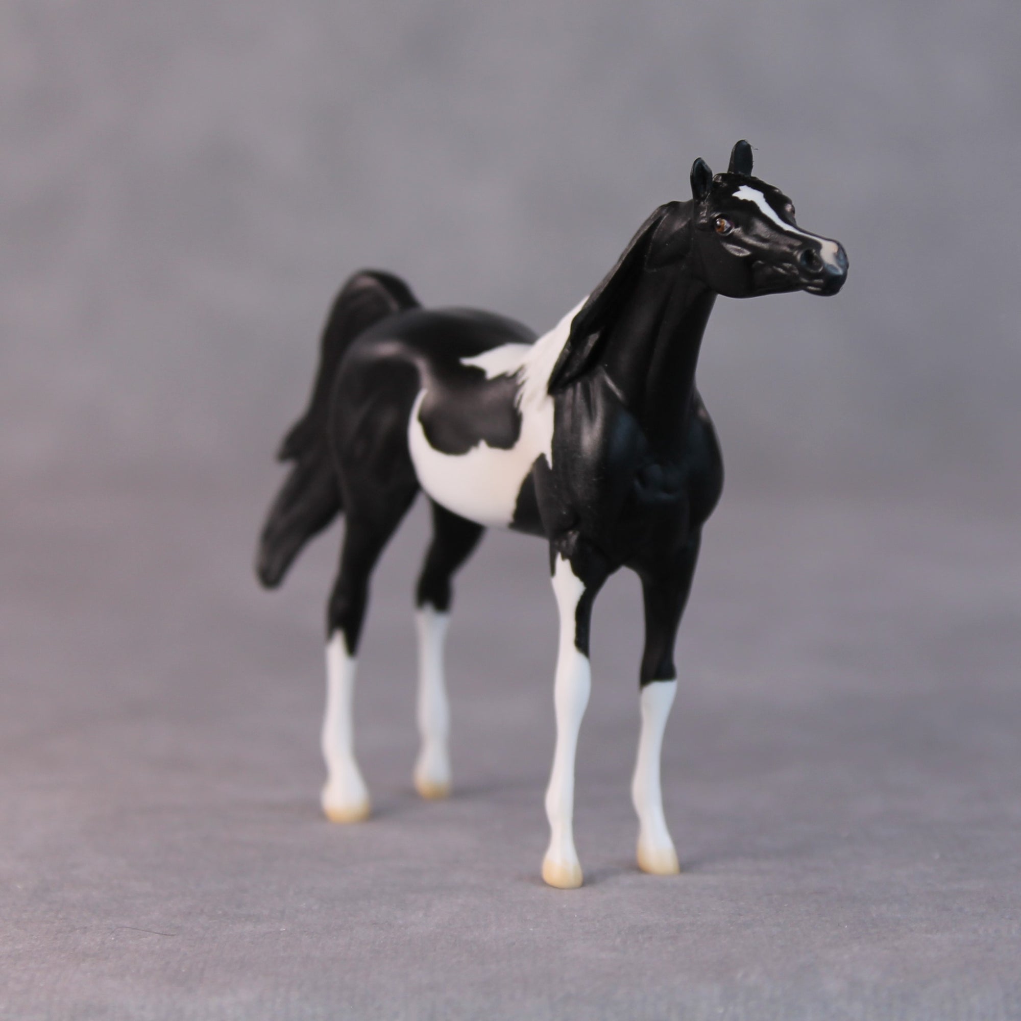 Rocco OOAK Black Pinto Arabian Chip By Jamie Adamson HS24