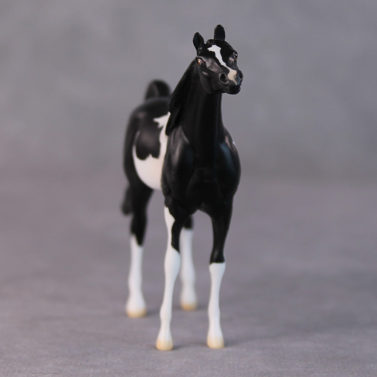 Rocco OOAK Black Pinto Arabian Chip By Jamie Adamson HS24