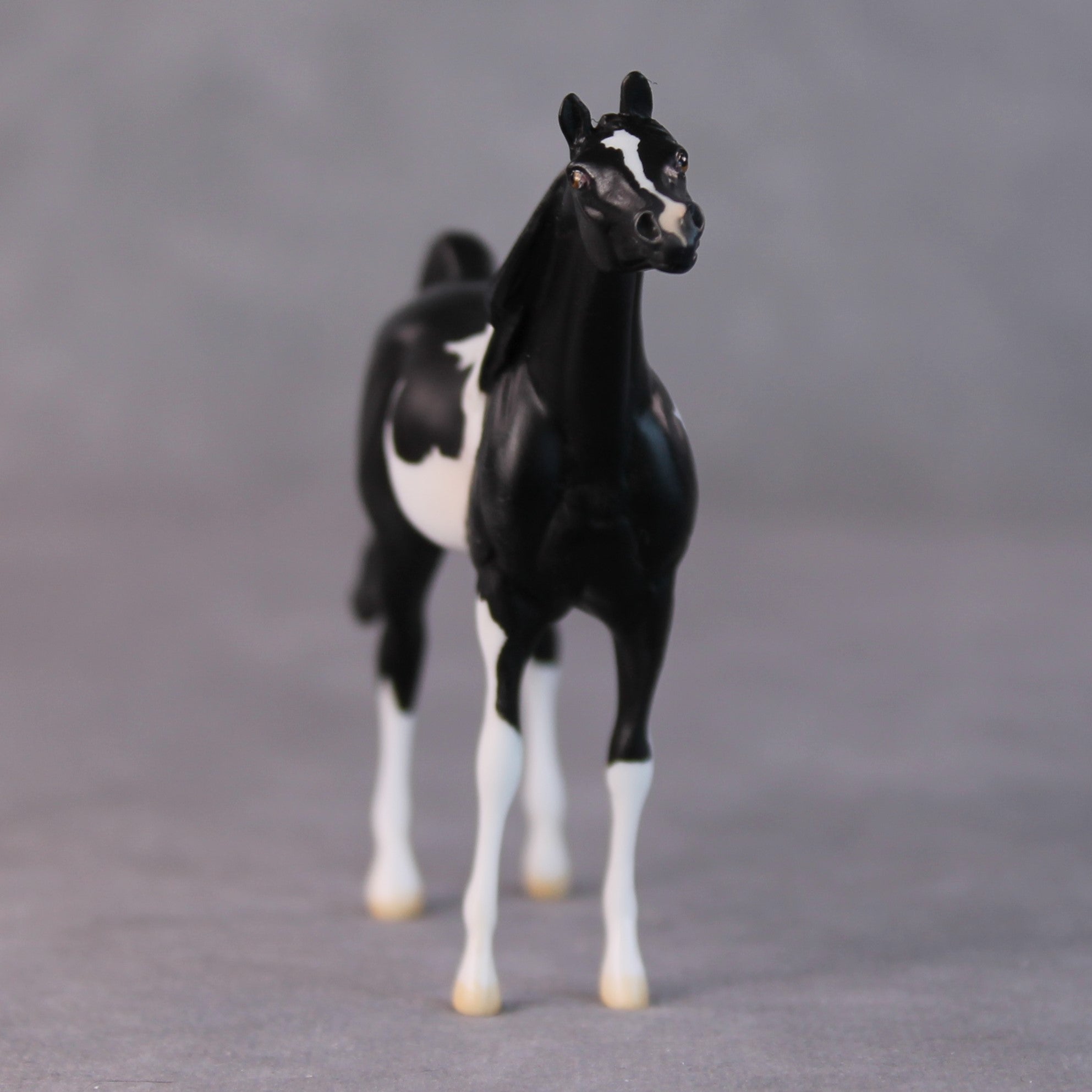 Rocco OOAK Black Pinto Arabian Chip By Jamie Adamson HS24