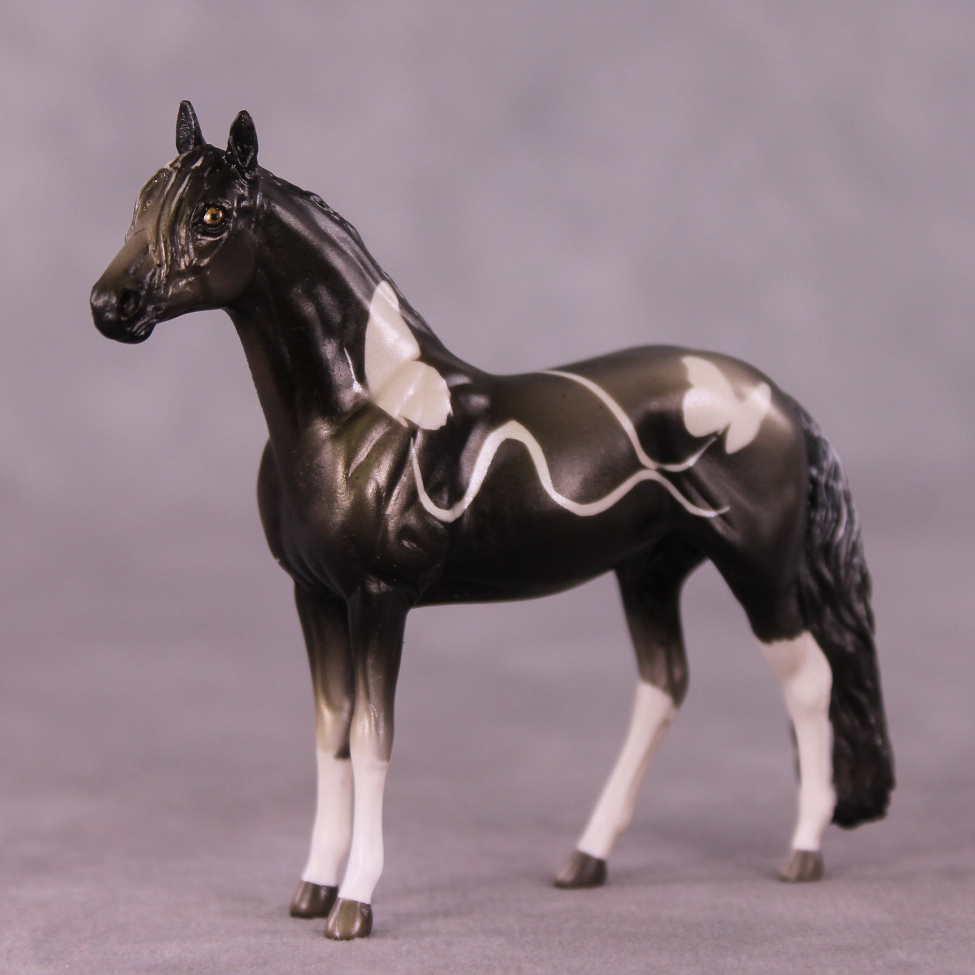 Duskywing OOAK Andalusian Chip by Kike Duarte EQ25