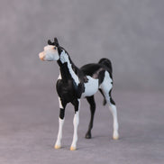 Dale OOAK Black Pinto Arabian Chip by Jamie Adamson HS24