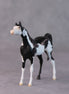 Dale OOAK Black Pinto Arabian Chip by Jamie Adamson HS24