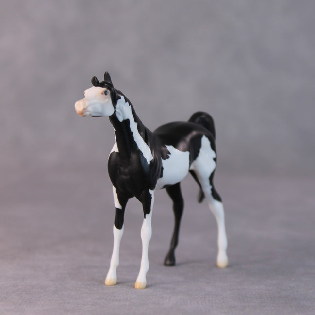 Dale OOAK Black Pinto Arabian Chip by Jamie Adamson HS24