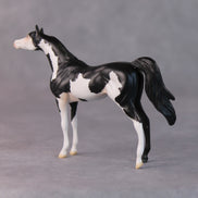 Dale OOAK Black Pinto Arabian Chip by Jamie Adamson HS24