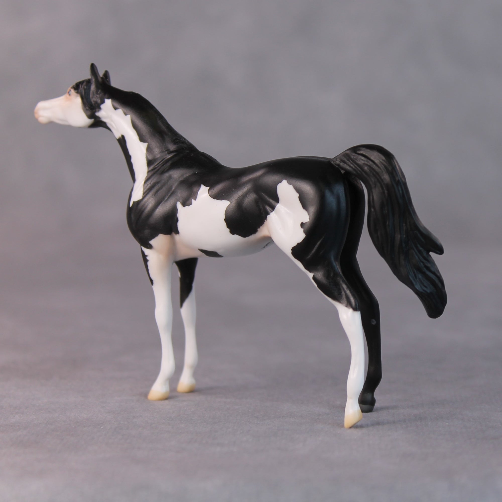 Dale OOAK Black Pinto Arabian Chip by Jamie Adamson HS24
