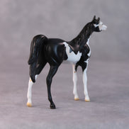 Dale OOAK Black Pinto Arabian Chip by Jamie Adamson HS24