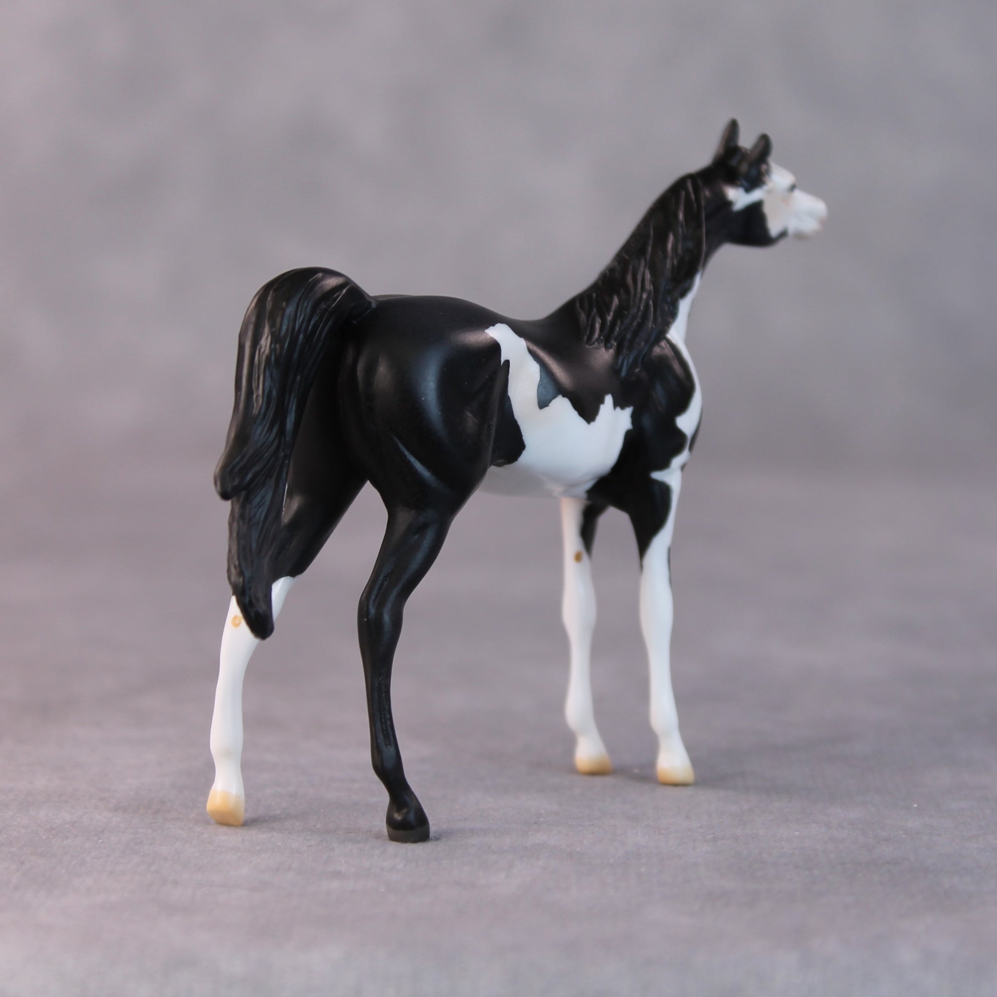 Dale OOAK Black Pinto Arabian Chip by Jamie Adamson HS24