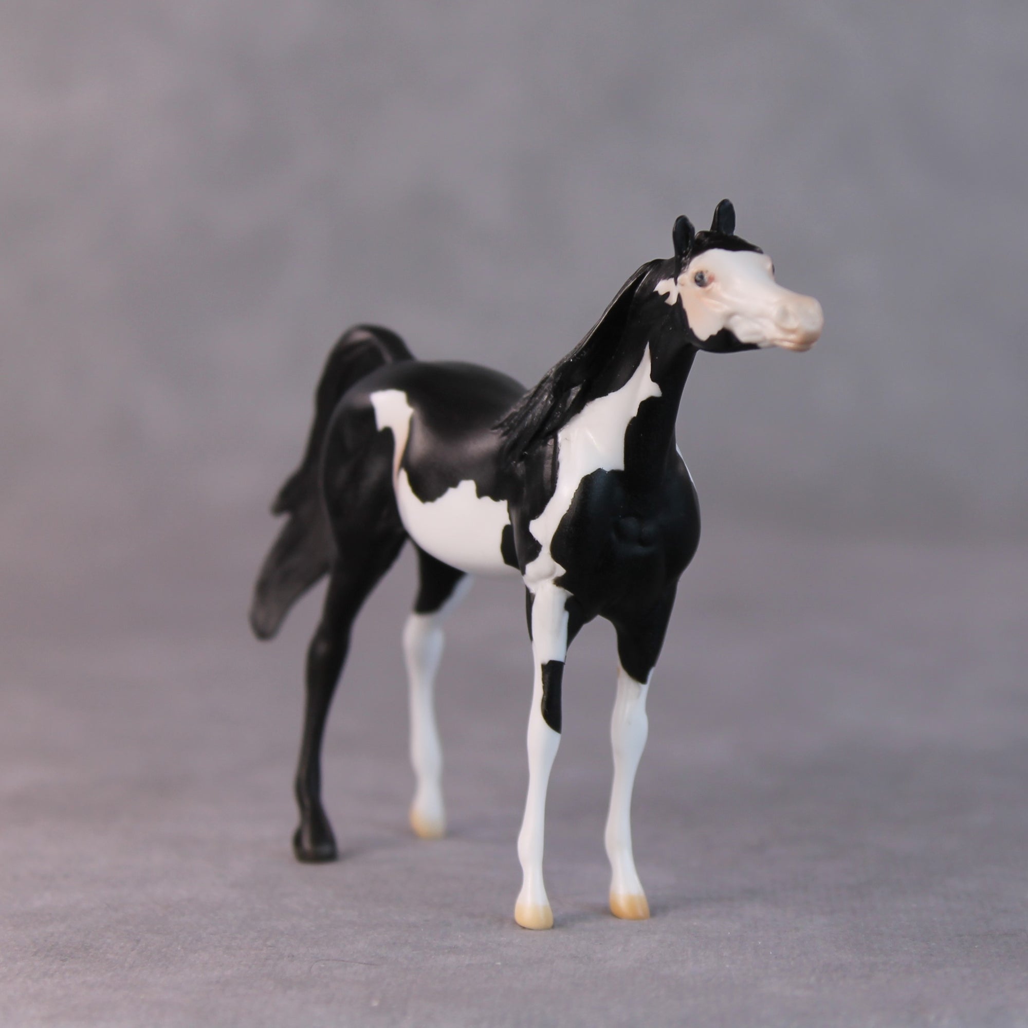 Dale OOAK Black Pinto Arabian Chip by Jamie Adamson HS24