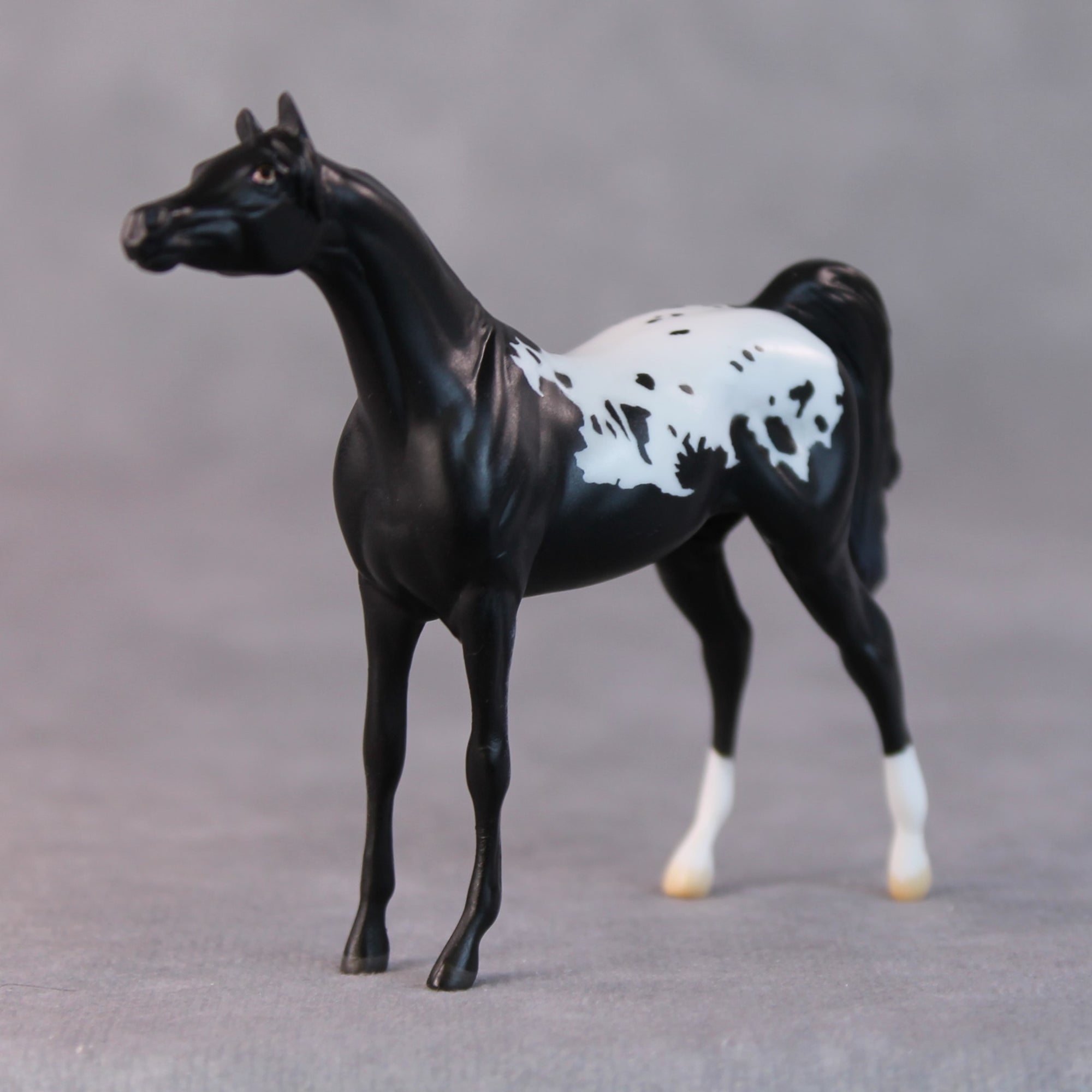 Chip OOAK Black Appaloosa Arabian Chip by Jamie Adamson HS24