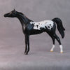 Chip OOAK Black Appaloosa Arabian Chip by Jamie Adamson HS24
