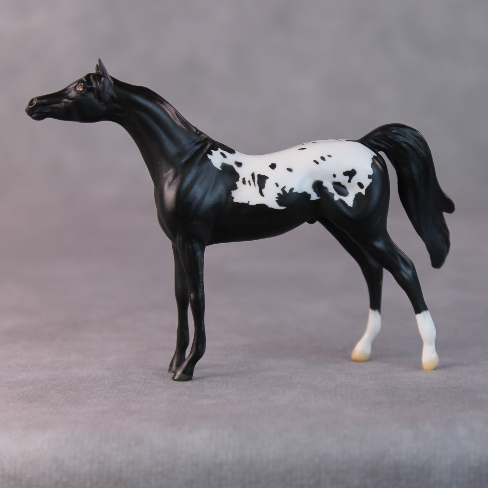 Chip OOAK Black Appaloosa Arabian Chip by Jamie Adamson HS24