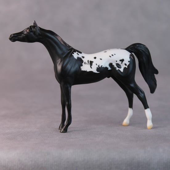 Chip OOAK Black Appaloosa Arabian Chip by Jamie Adamson HS24
