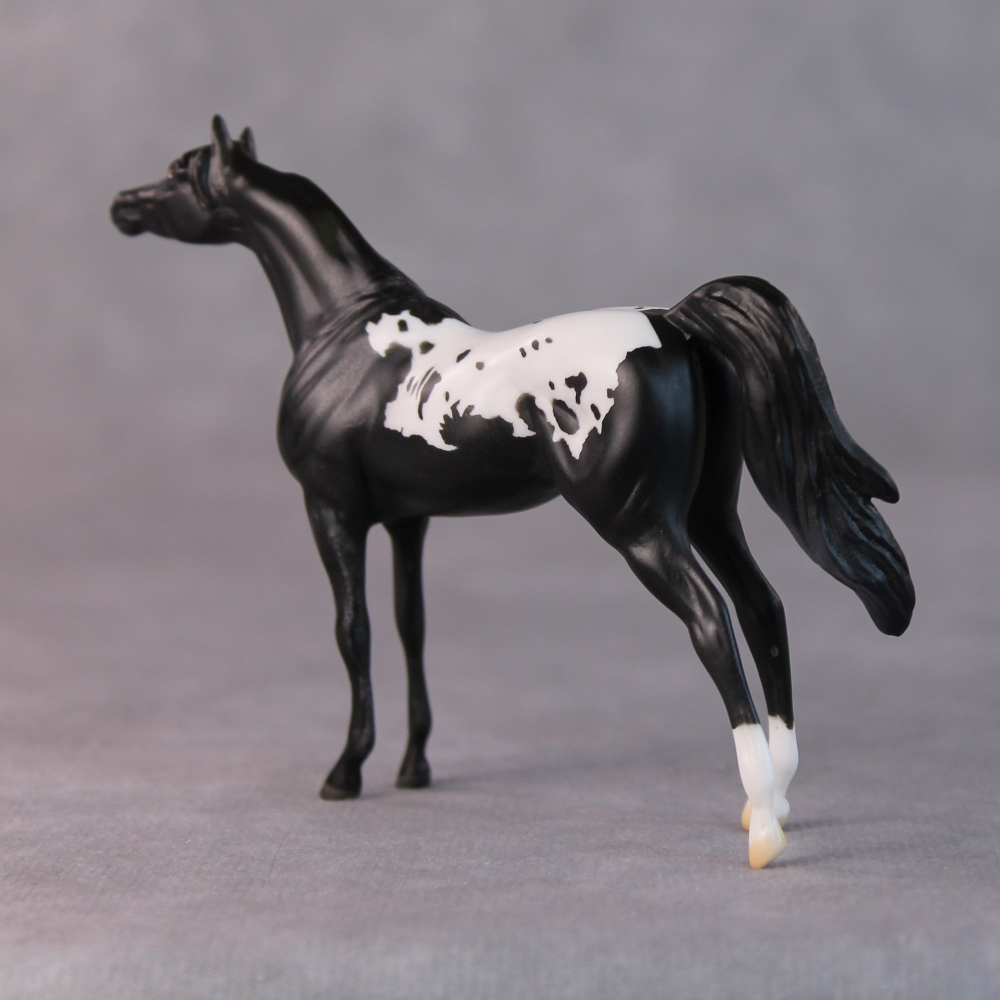 Chip OOAK Black Appaloosa Arabian Chip by Jamie Adamson HS24