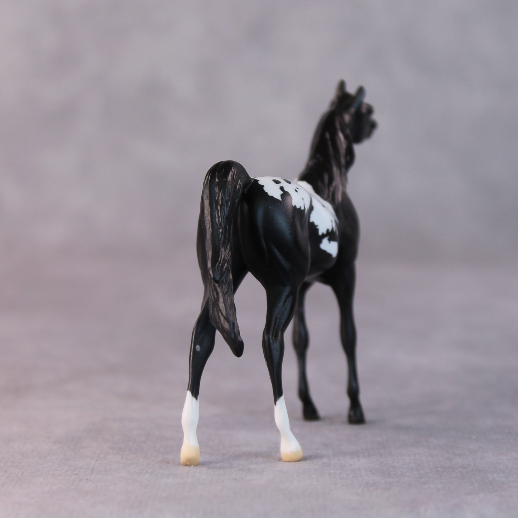 Chip OOAK Black Appaloosa Arabian Chip by Jamie Adamson HS24