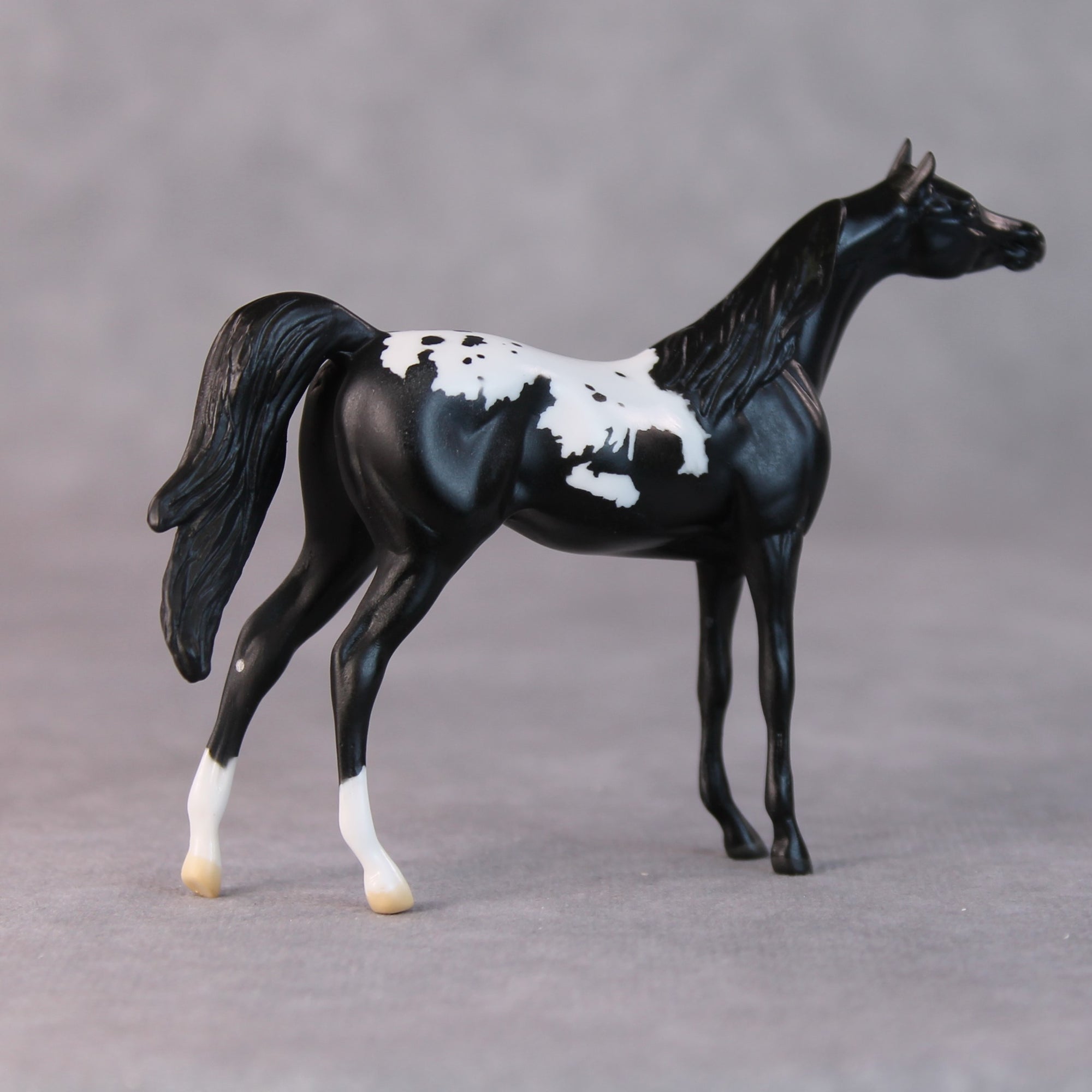 Chip OOAK Black Appaloosa Arabian Chip by Jamie Adamson HS24