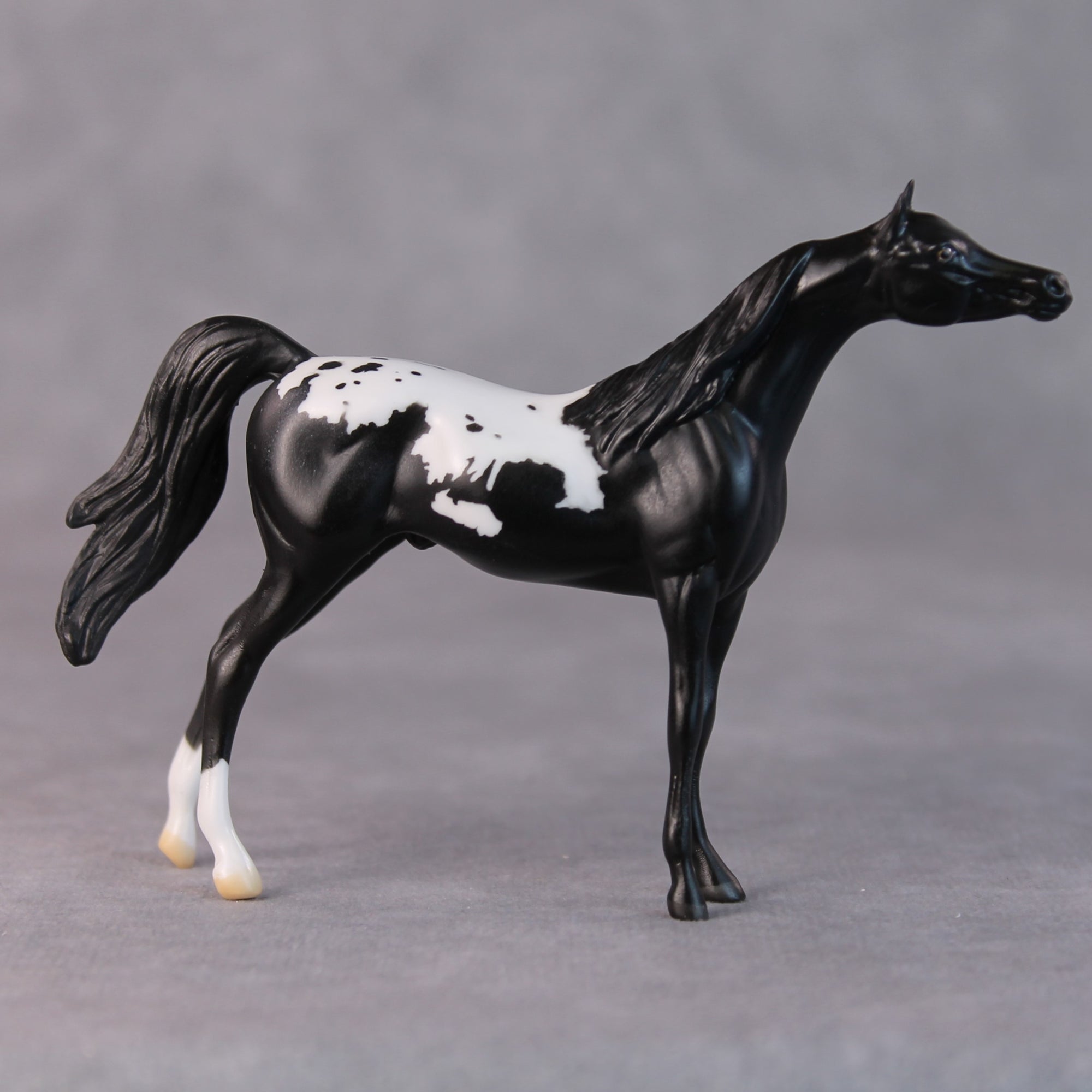 Chip OOAK Black Appaloosa Arabian Chip by Jamie Adamson HS24