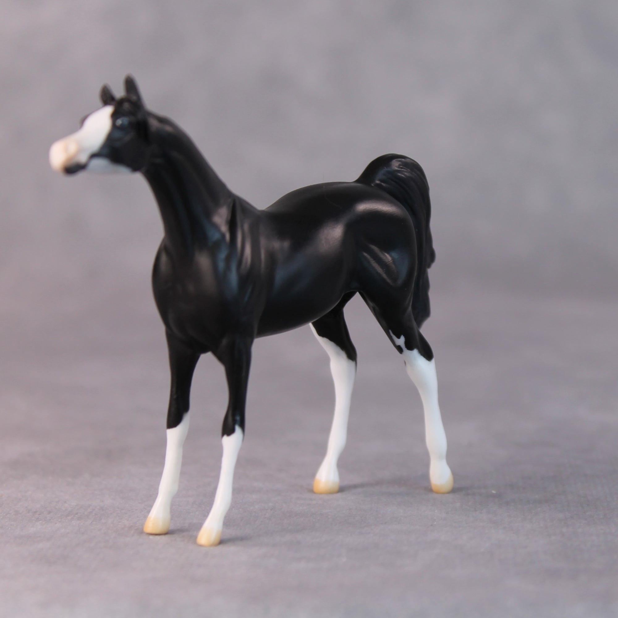Tommy Too OOAK Black Sabino Arabian Chip by Jamie Adamson HS24