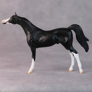 Tommy Too OOAK Black Sabino Arabian Chip by Jamie Adamson HS24