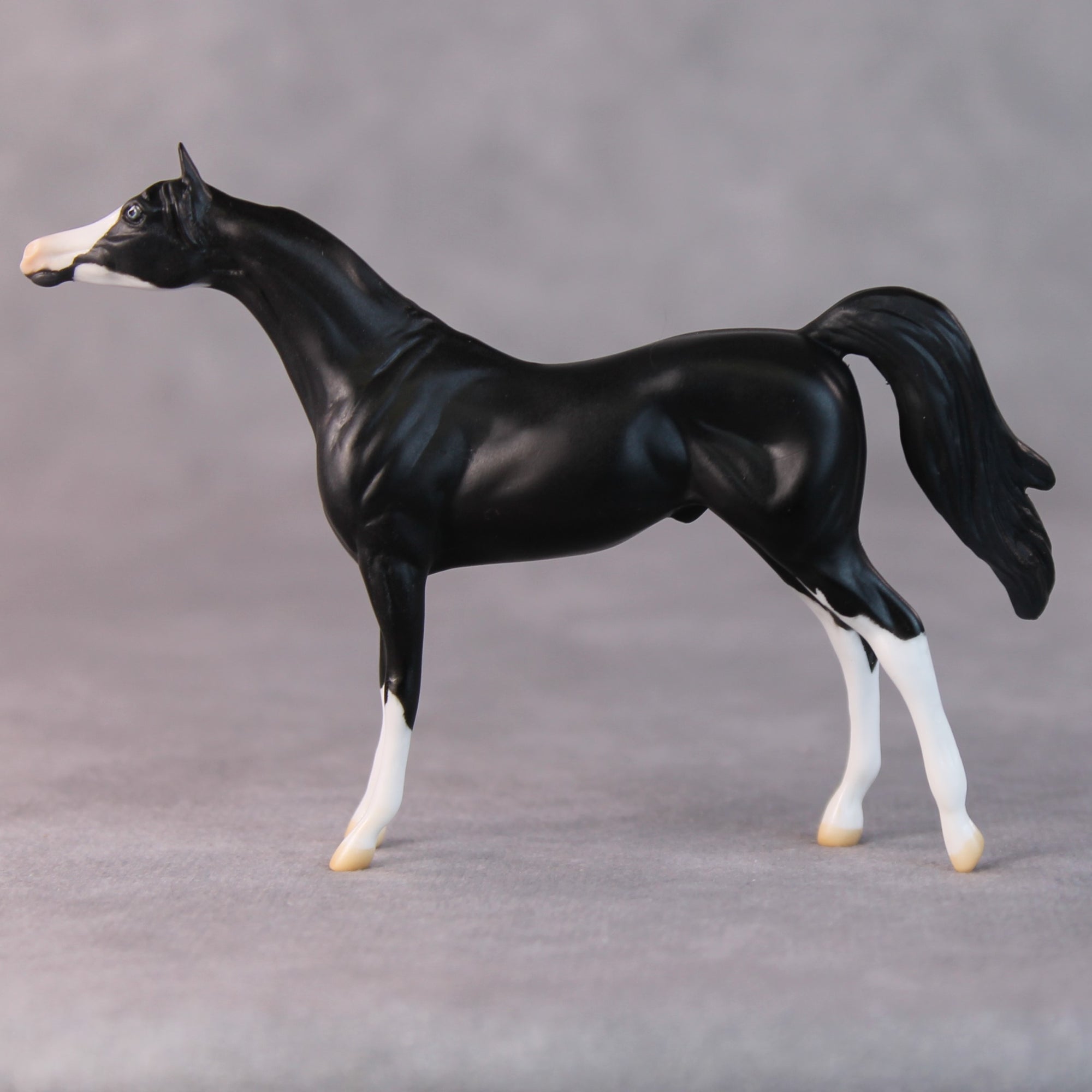 Tommy Too OOAK Black Sabino Arabian Chip by Jamie Adamson HS24