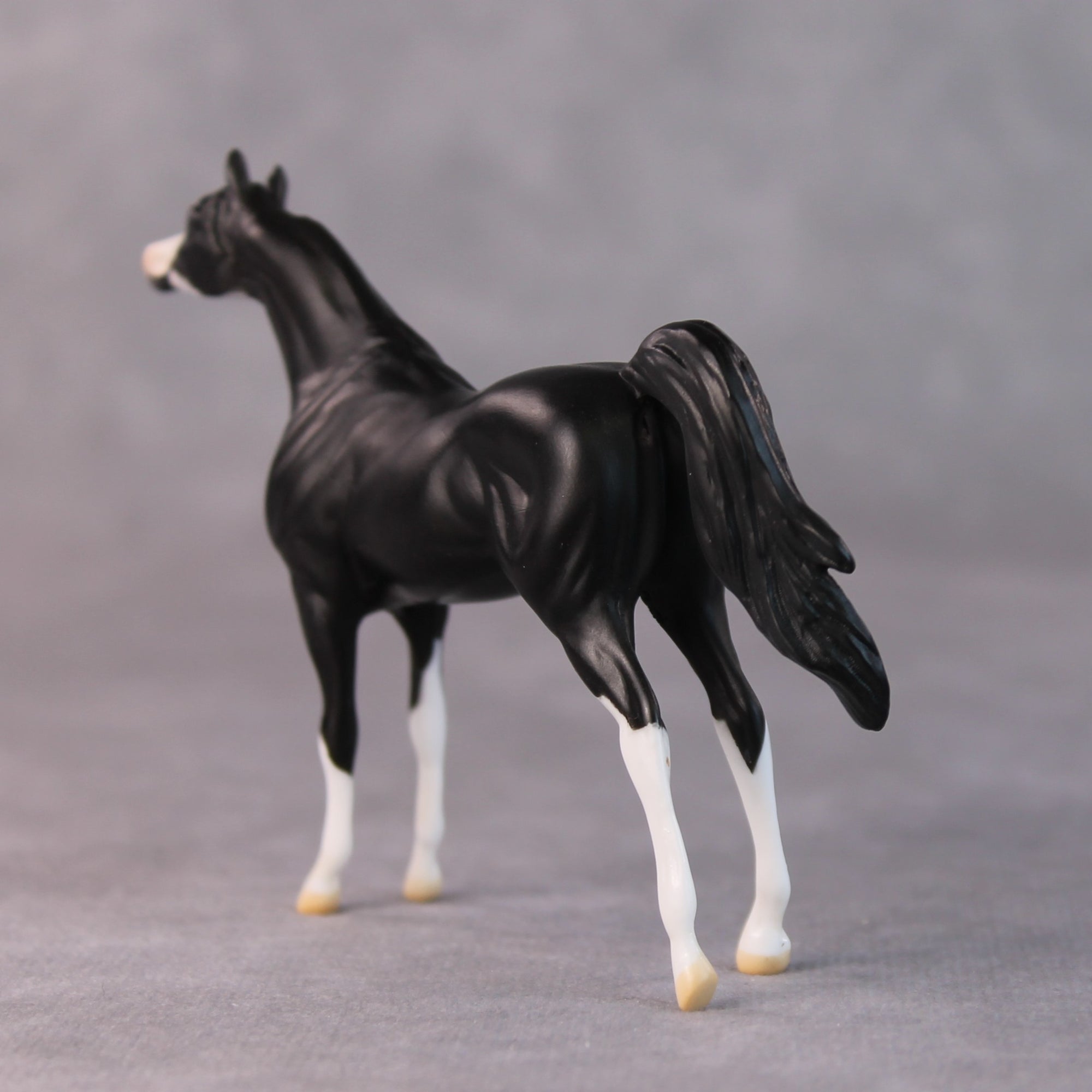 Tommy Too OOAK Black Sabino Arabian Chip by Jamie Adamson HS24