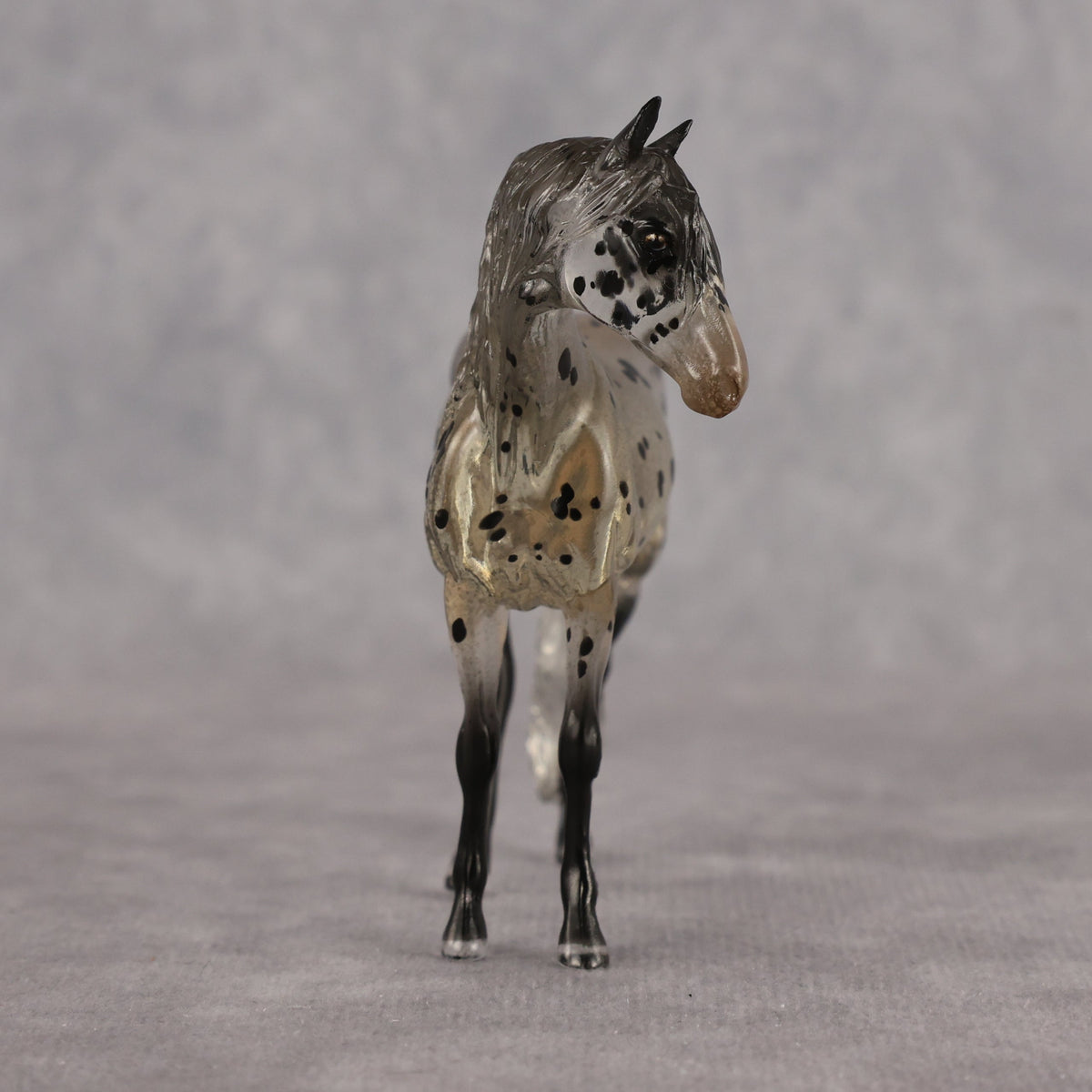 Icarus OOAK FCM Clear Chip Andalusian by Angela Marleau LHS26