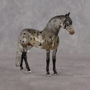Icarus OOAK FCM Clear Chip Andalusian by Angela Marleau LHS26