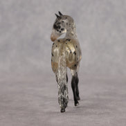 Icarus OOAK FCM Clear Chip Andalusian by Angela Marleau LHS26