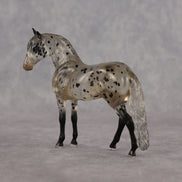 Icarus OOAK FCM Clear Chip Andalusian by Angela Marleau LHS26