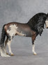Ichabod OOAK FCM Andalusian by Jess Hamill SHCF26