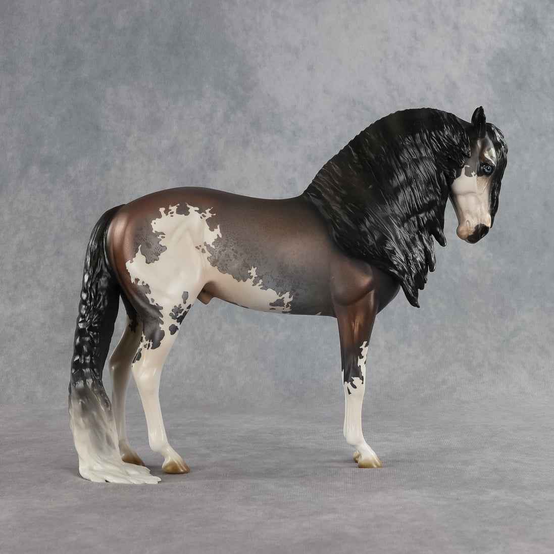 Ichabod OOAK FCM Andalusian by Jess Hamill SHCF26