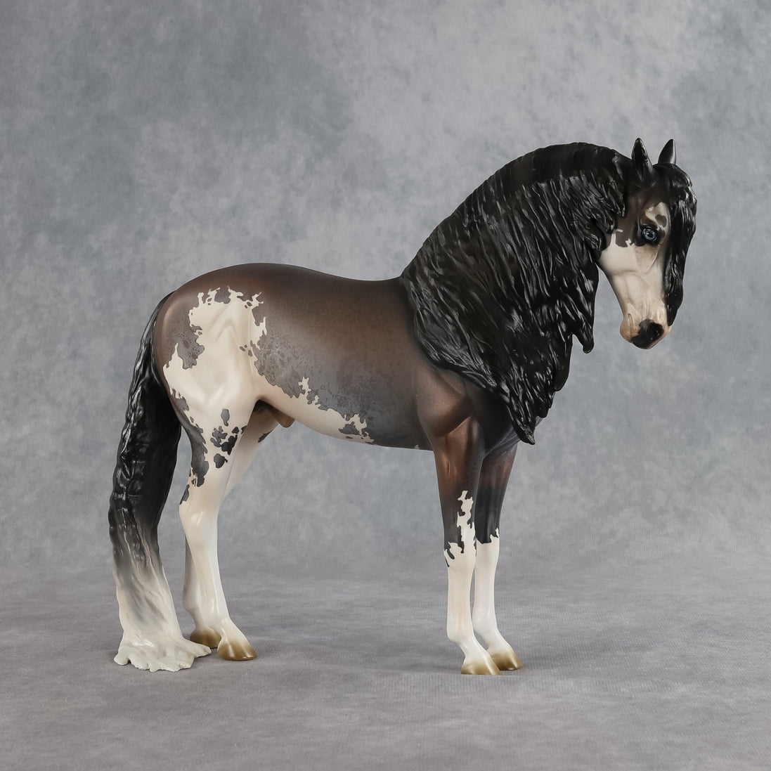 Ichabod OOAK FCM Andalusian by Jess Hamill SHCF26