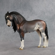 Ichabod OOAK FCM Andalusian by Jess Hamill SHCF26