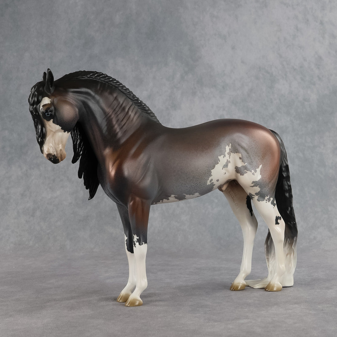 Ichabod OOAK FCM Andalusian by Jess Hamill SHCF26
