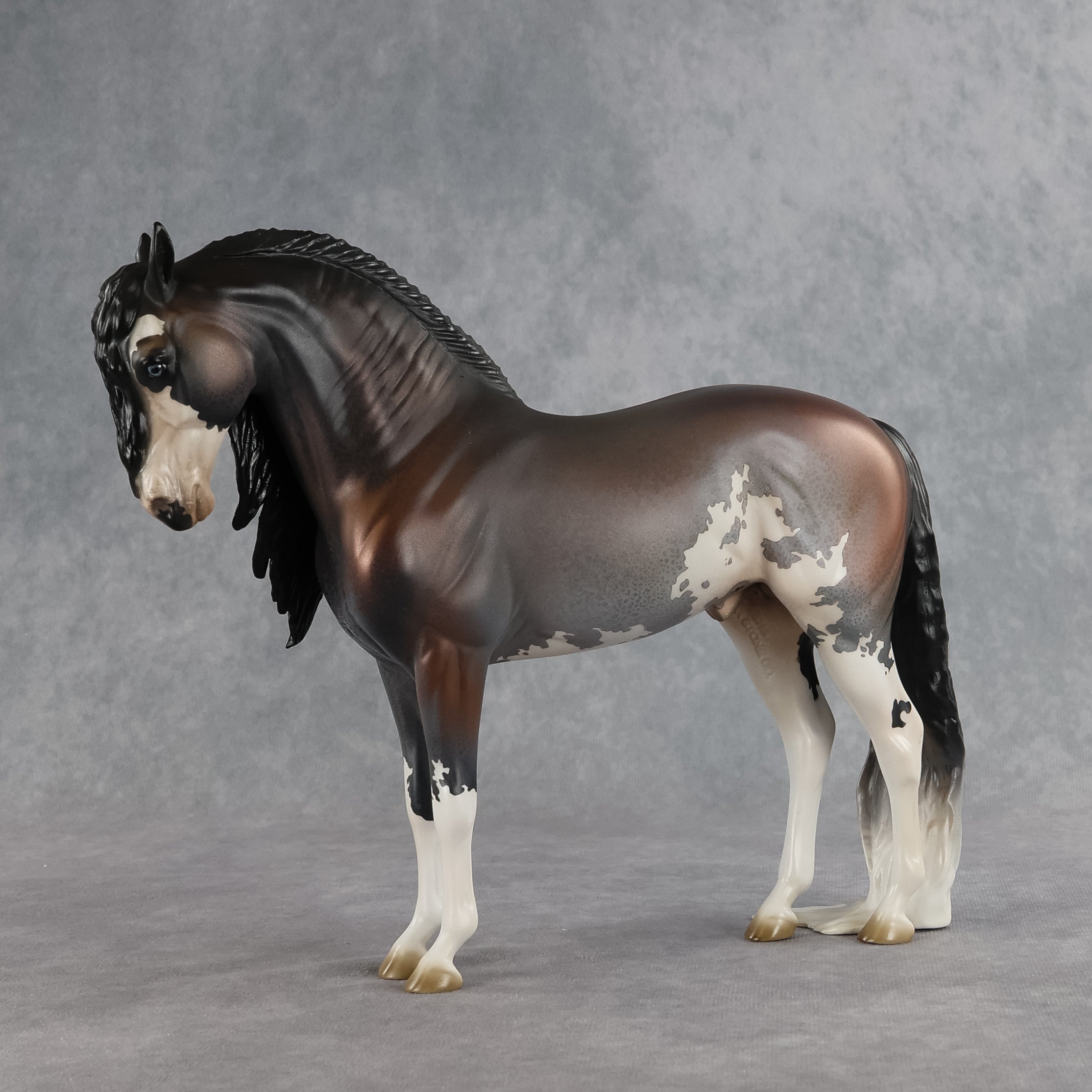 Ichabod OOAK FCM Andalusian by Jess Hamill SHCF26