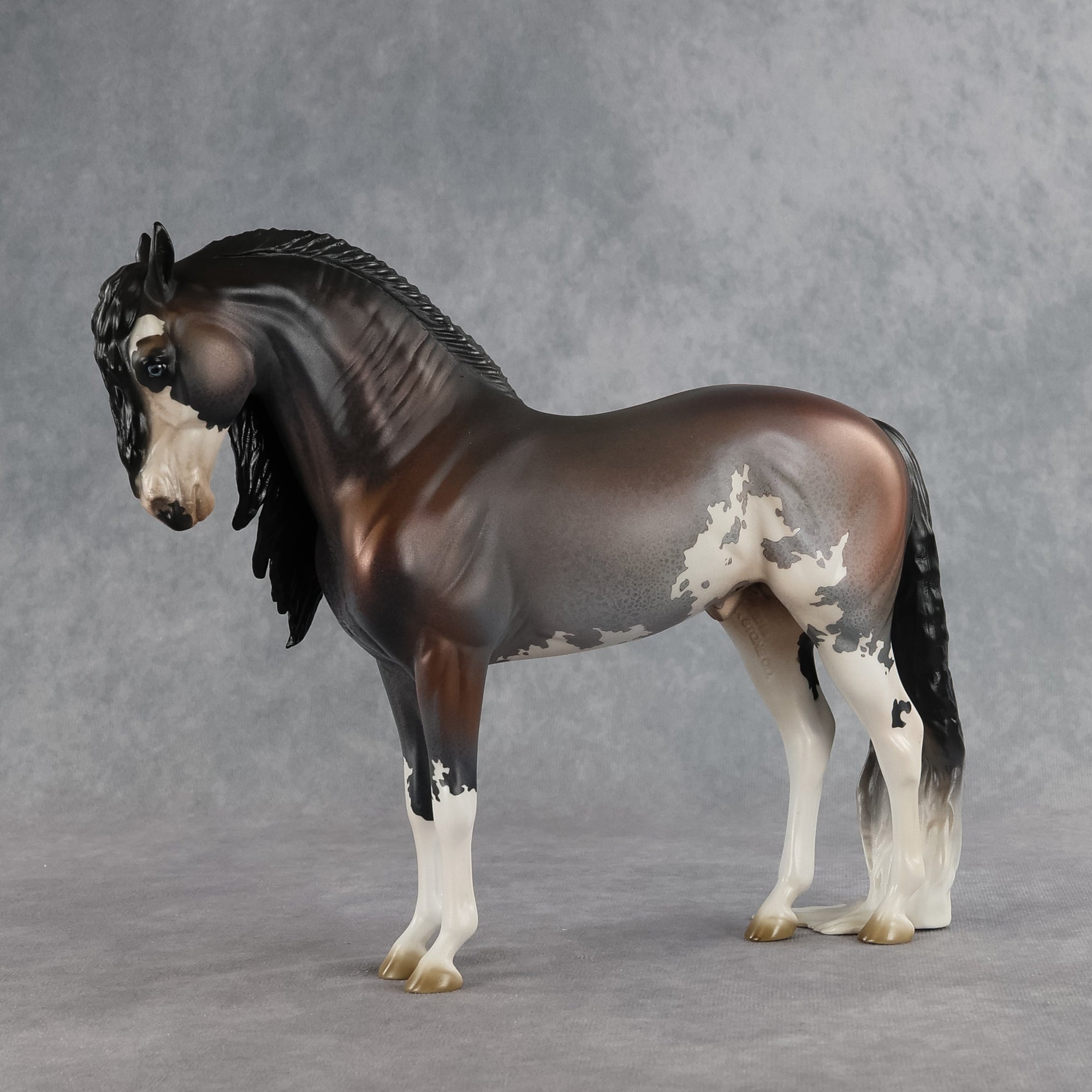 Ichabod OOAK FCM Andalusian by Jess Hamill SHCF26
