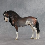 Ichabod OOAK FCM Andalusian by Jess Hamill SHCF26