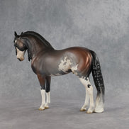 Ichabod OOAK FCM Andalusian by Jess Hamill SHCF26